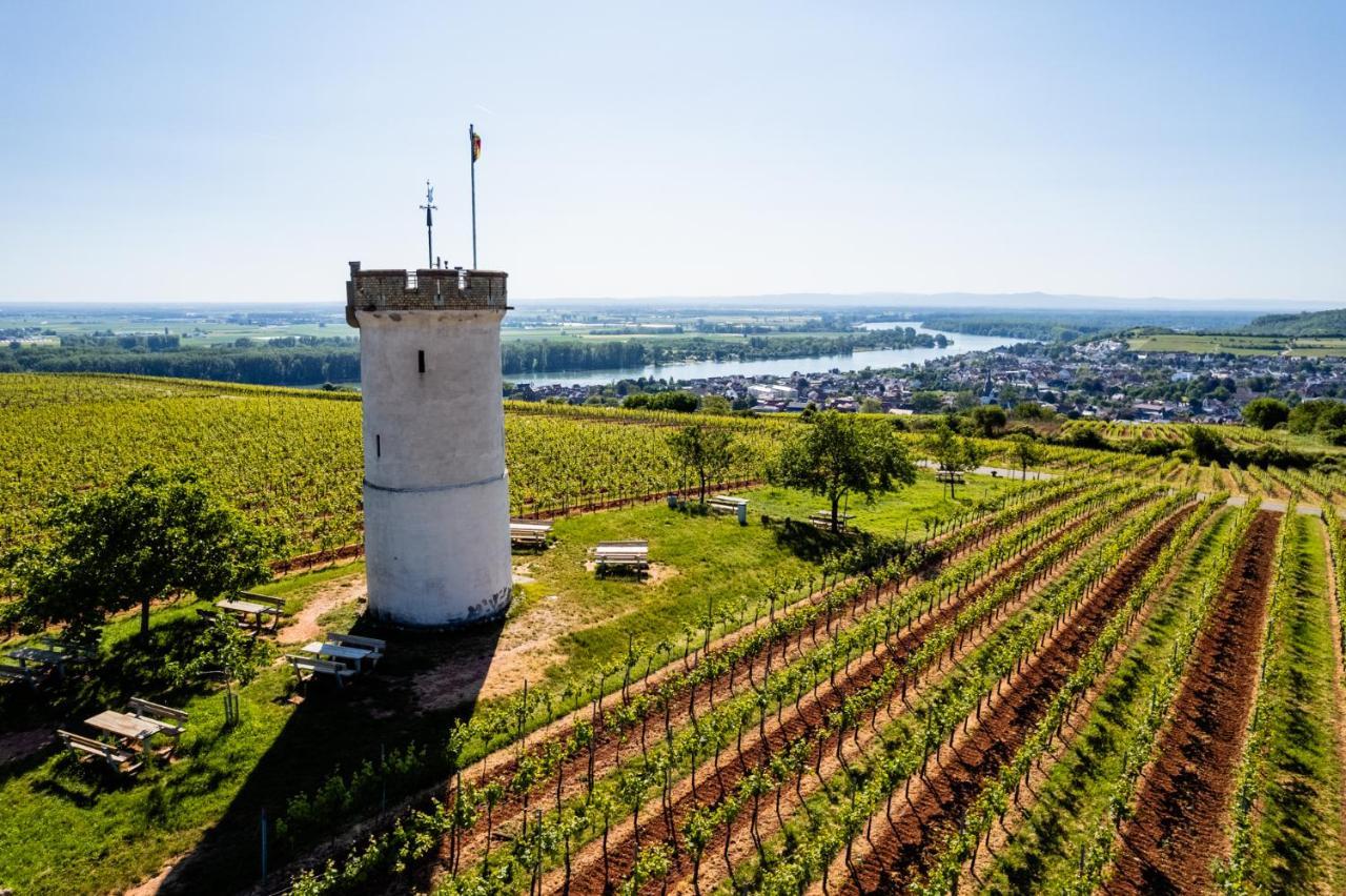 Best Western Wein- Und Parkhotel Nierstein Ngoại thất bức ảnh